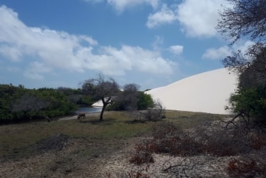 Lençóis Maranhenses