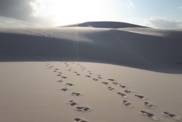 Lençóis Maranhenses