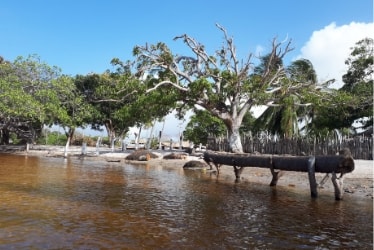 Lençóis Maranhenses