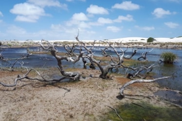 Lençóis Maranhenses
